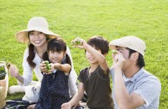 大好春色 带上便当去春游