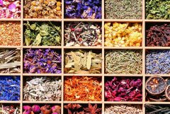 ������Ѫ����ҽҩ��